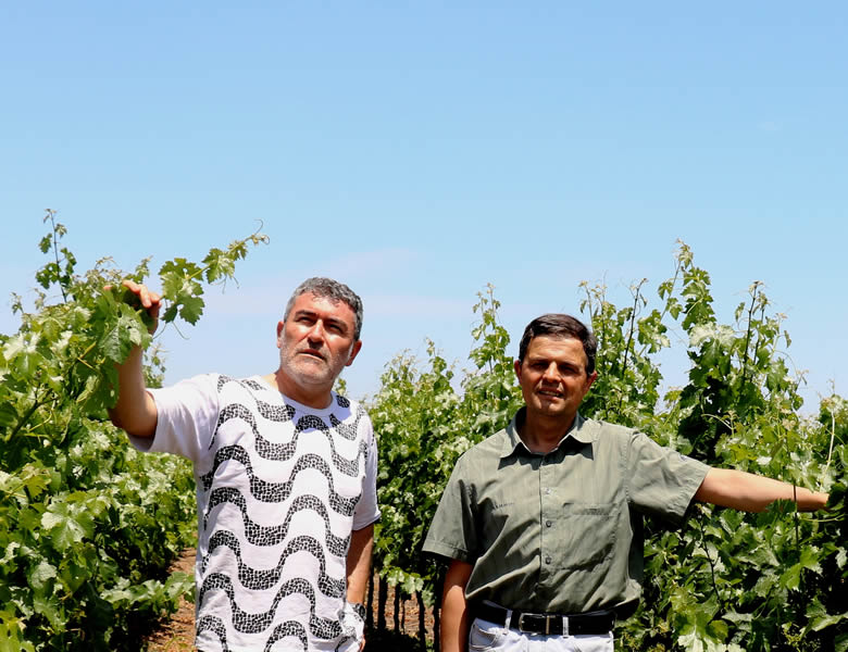 home_forestalwines_fundadores