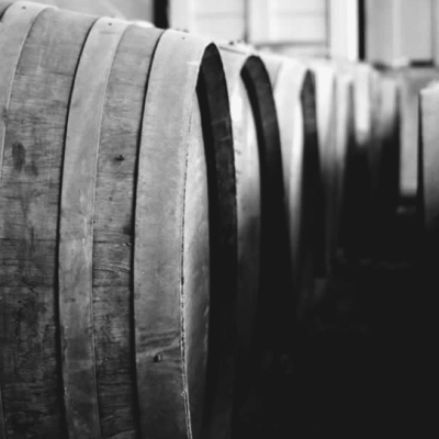 home_forestalwines_making2_BW